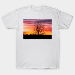 Tree silhouette and beautiful vibrant sunset clouds T-Shirt